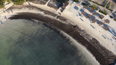 las olas lavan la playa turística de arena con arena negra, méxico