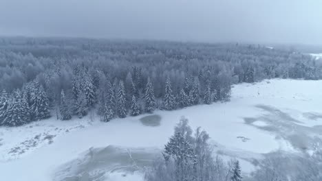 aerial drone forward moving shot over frozen lake surrounded by coniferous forest covered with white snow on cloudy day