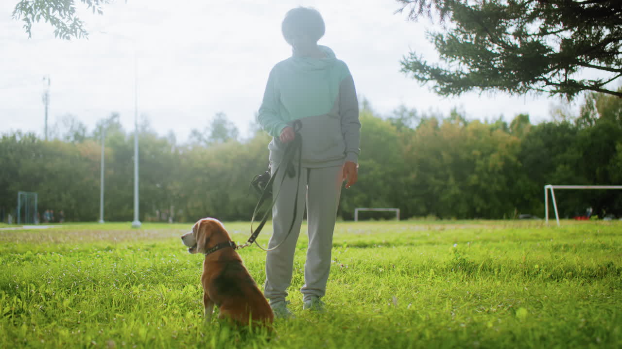 American bulldog calmly seated on grass while trainer stands holding leash during outdoor training session under bright sky surrounded by greenery with goal post visible in background