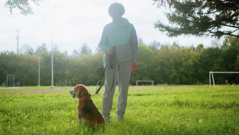 american bulldog calmly seated on grass while trainer stands holding leash during outdoor training session under bright sky surrounded by greenery with goal post visible in background