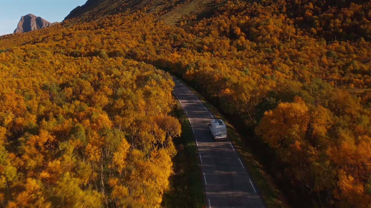 Winding road through forested autumn landscape in Vestarelen, Norway