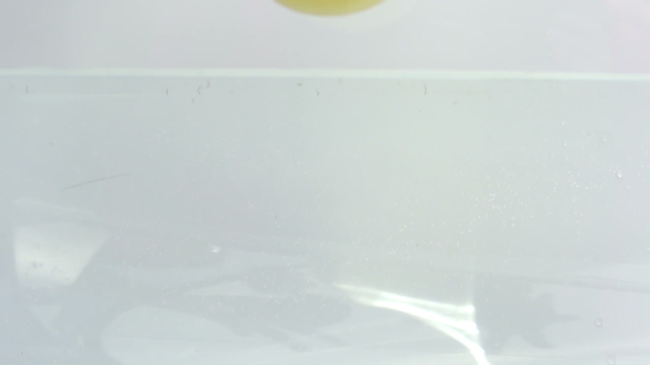 fruta en cámara lenta 00