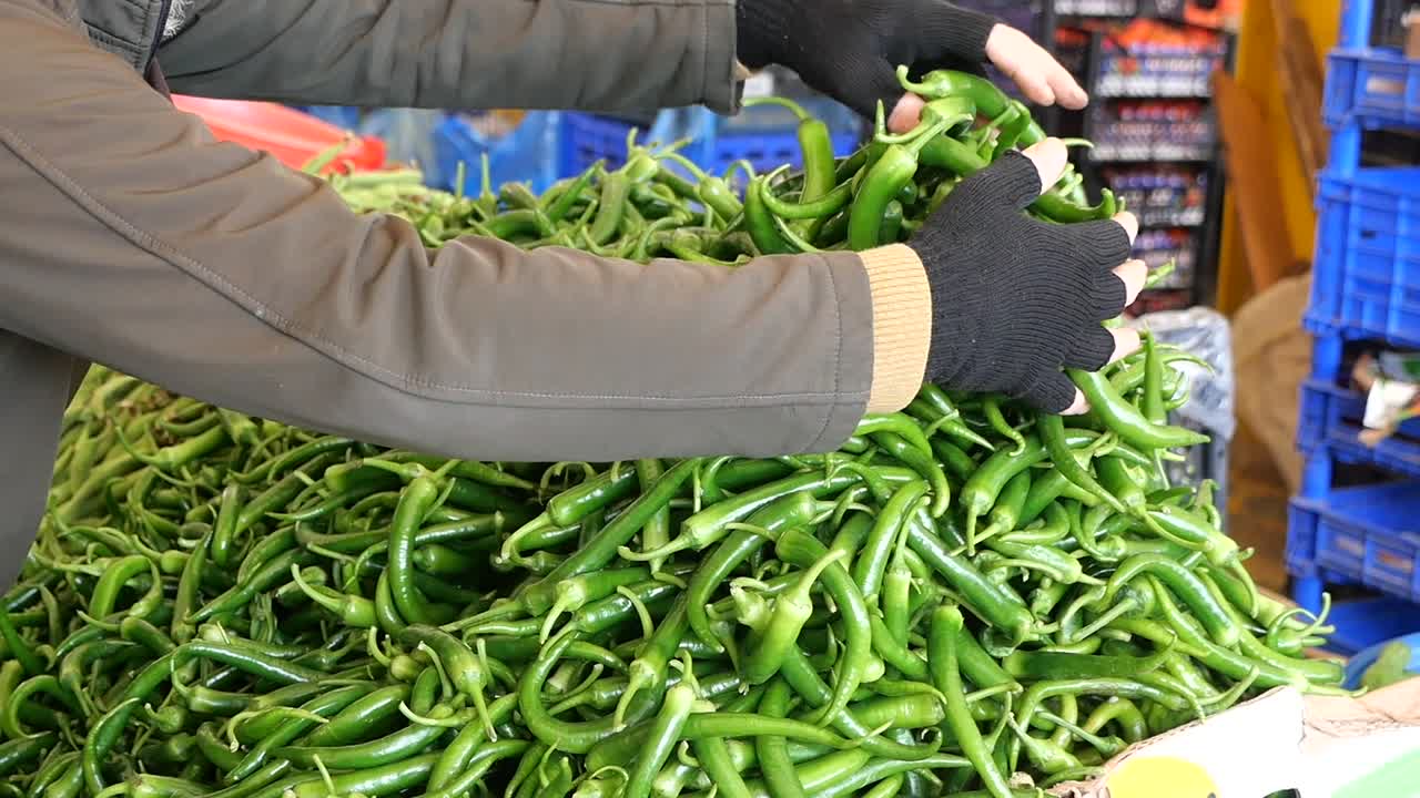 Person Sorting Fresh Green Chili Peppers at a Market