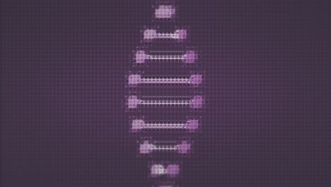 Animation-of-chemistry-school-icon-and-dna-strand-on-purple-background