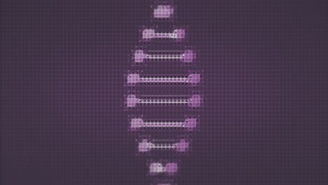 animation of chemistry school icon and dna strand on purple background