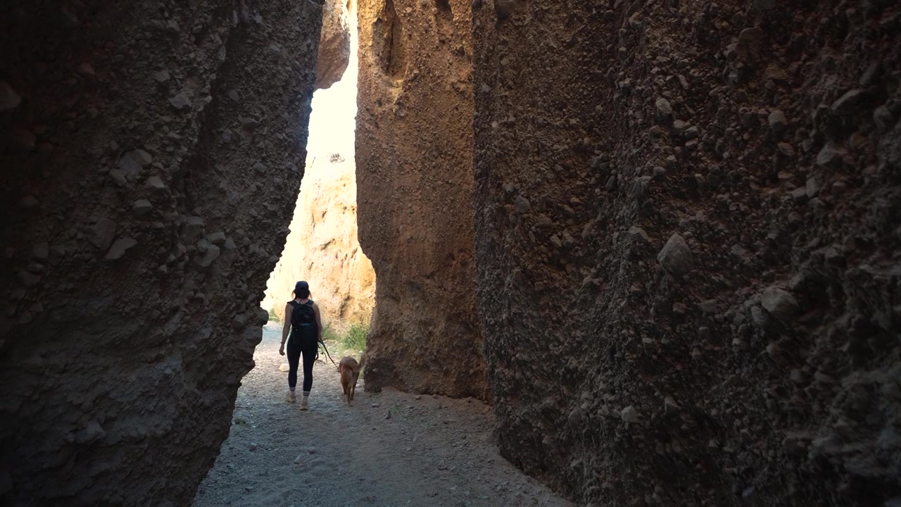 Escursionista donna e cane che camminano nello stretto canyon a fessura di Spooky Gulch, Utah, USA