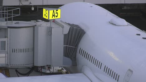 avión estacionado en la puerta