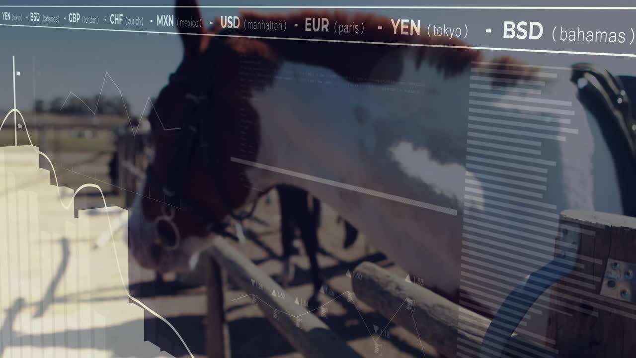 Horse head and neck being animated, leaning through wooden rails with financial chart overlays