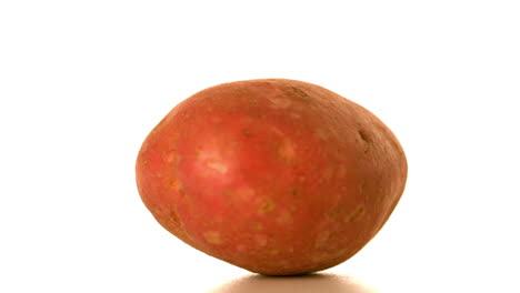 potato spinning on white surface