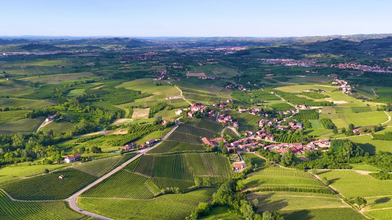 Brede drone-opname vanuit de lucht over weelderige groene wijngaarden en glooiende heuvels op het platteland van Italië