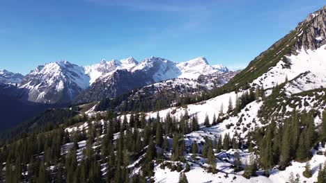 Drone-fly-above-Forest-in-the-Mountains-in-Austrian-Alps-with-Snow-Covered-Summits-in-Background