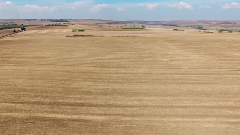 Drone-Shot-with-Top-View-of-Yellow-Barley-Fields-for-Agricultural-Farm-Lands-with-Open-Blue-Sky