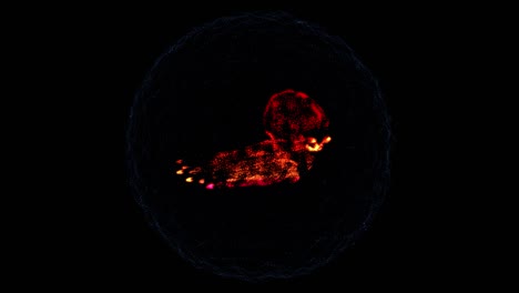 ilustración vibrante de un pulpo de color rojo brillante nadando lentamente en un océano completamente oscuro