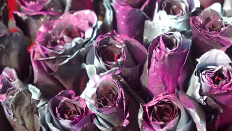 purple and silver roses bouquet