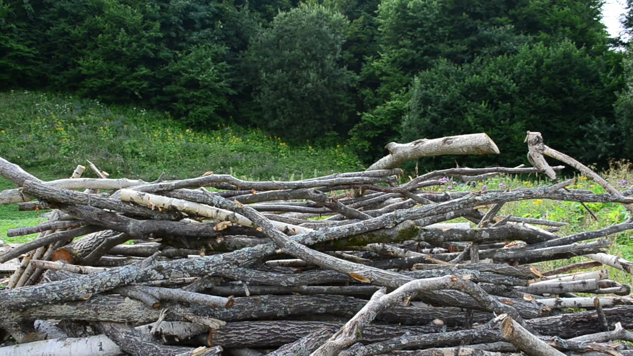 Aufnahme von Brennholz. Brennholz im Hof.