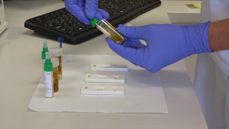 asistente de laboratorio intercambiando muestras de heces humanas con una pequeña varilla y mezclando las heces para preparar muestras para analizar la sangre con un casete de prueba rápida en un pequeño laboratorio en la clínica