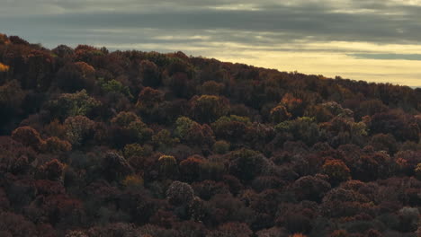 Clouds-In-The-Sky-Moving-Over-The-Thick-Forest-In-Sunrise-In-Arkansas,-USA