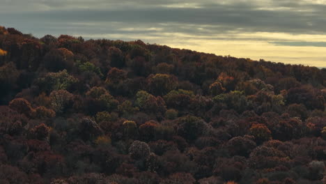 nubes en el cielo moviéndose sobre el denso bosque al amanecer en arkansas, estados unidos