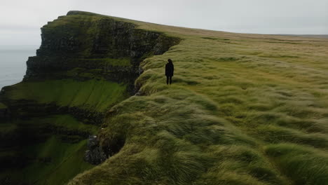 person standing on a dramatic grassy cliff overlooking the ocean