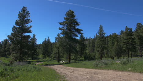 a wide shot of a dirt road leading to a camp site in the wasatch forest