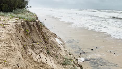 a 15-second video showing coastal erosion at narrowneck beach, gold coast, with waves impacting the sandy cliff under overcast skies from cyclone alfred