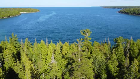 aerial view of blue sea with clear waters from the pine tree forest