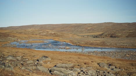 pescador junto a un río en la tundra ártica