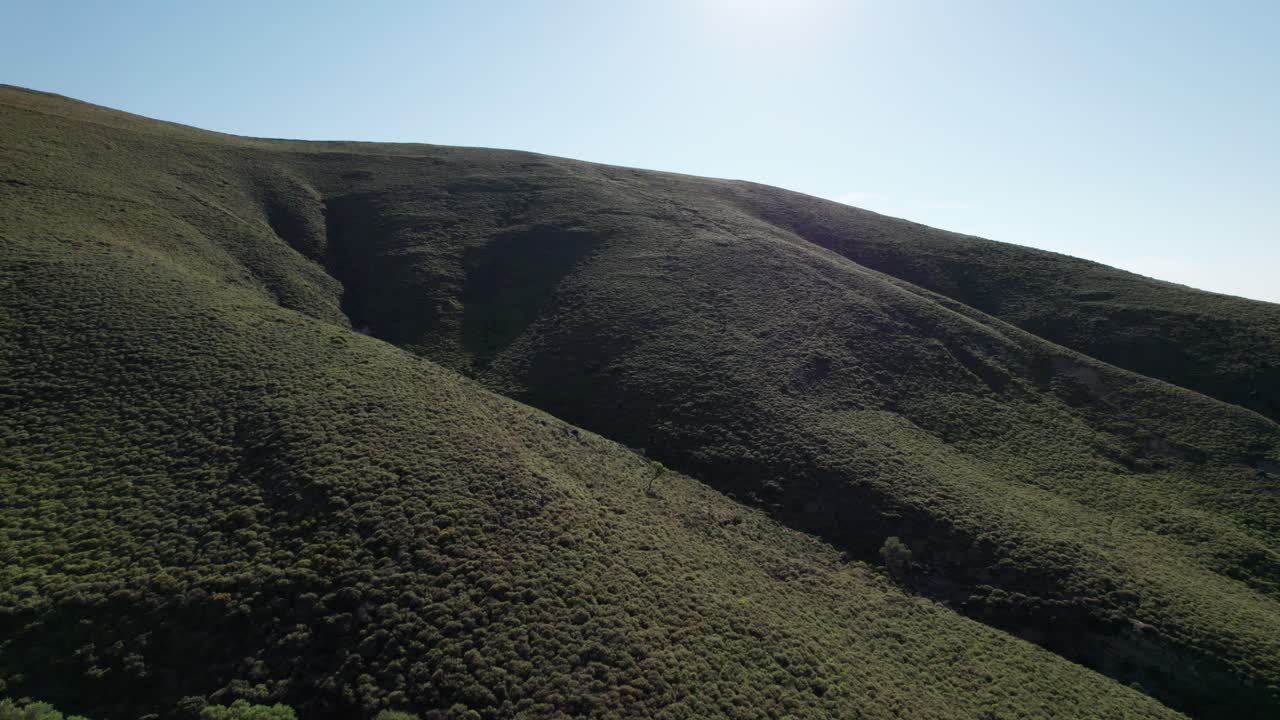 lado de la montaña cubierto de densos arbustos bajos y gruesos al mediodía