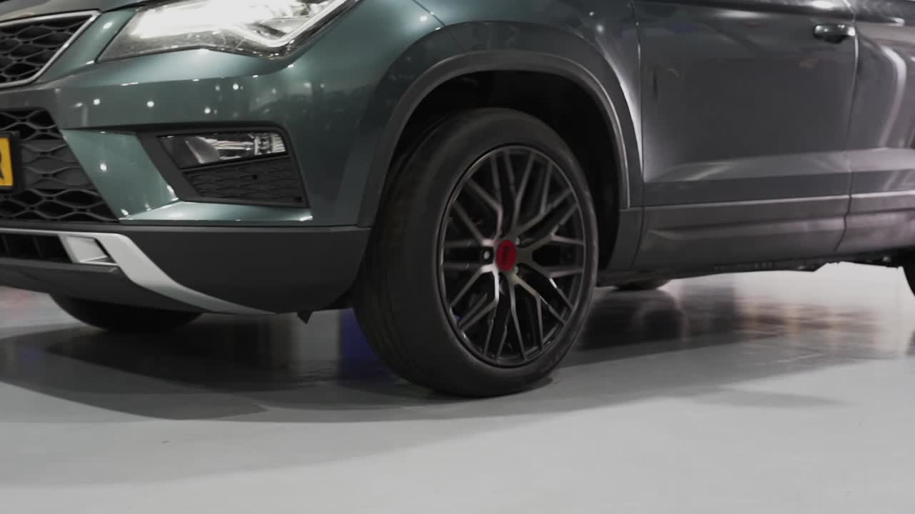 리비에라 합금 바 ⁇ 를 가진 럭셔리 자동차, 클로즈업