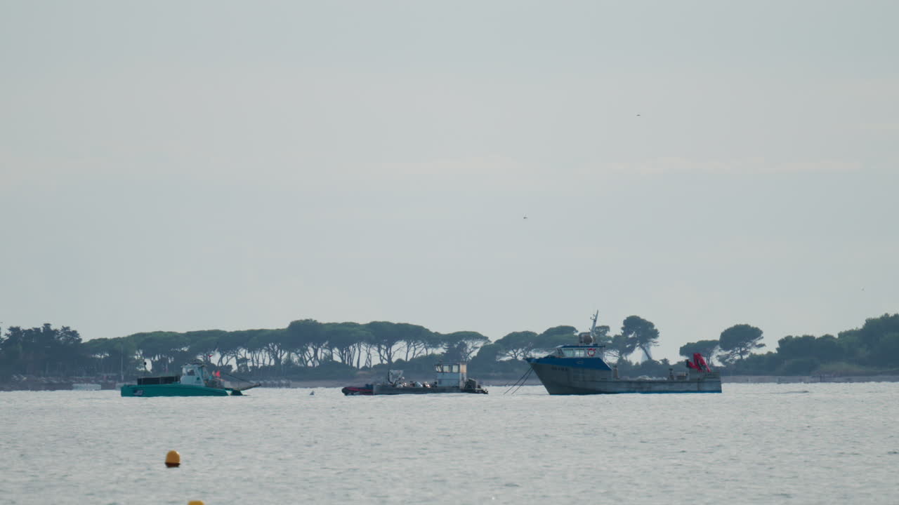 Several fishing boats anchored near a coastal area with trees in the background under a soft sky