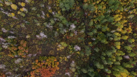 Unique-birds-eye-view-foggy-cloudy-Colorful-Colorado-aerial-cinematic-drone-San-Juans-Range-Ridgway-Mount-Sniffels-Wilderness-Million-Dollar-Highway-Dallas-Range-autumn-fall-circle-up-motion