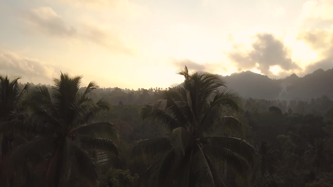Rainforest view in east Java. Indonesia. Aerial pedestal up