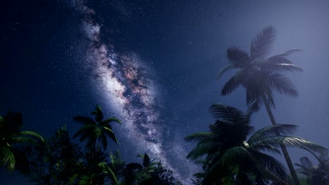 4k-Astro-De-La-Galaxia-De-La-Vía-Láctea-Sobre-La-Selva-Tropical.