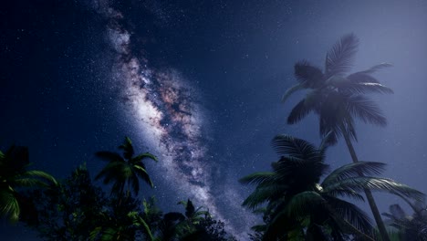 4k astro of milky way galaxy over tropical rainforest.