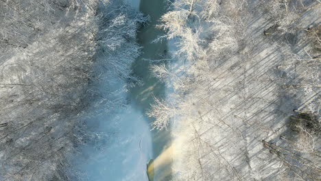 Tree-casting-shadows-on-sunny-winter-day-with-frozen-river,-aerial-top-down-view