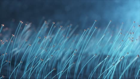 glowing azure grass