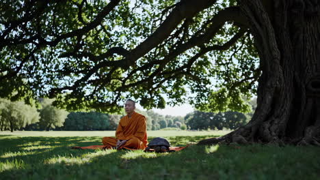 monje meditando bajo un gran árbol en un parque