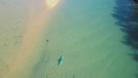 paletas de piragüista en el río corindi en australia