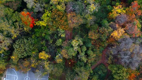Eine-Luftaufnahme-über-Einen-Park-Mit-Bunten-Bäumen-Und-Wanderwegen-An-Einem-Sonnigen-Herbsttag