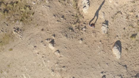 girl walking alone in stone road to the top of the grey mountain in huaraz peru