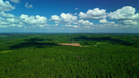 cinematic drone shot of a forest and a field in the background on a clear day with some clouds in the sky flying sideways