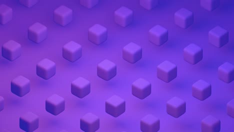 cubos púrpuras moviéndose en abstracto. vídeo de animación de bucle 3d en 4k ultra hd