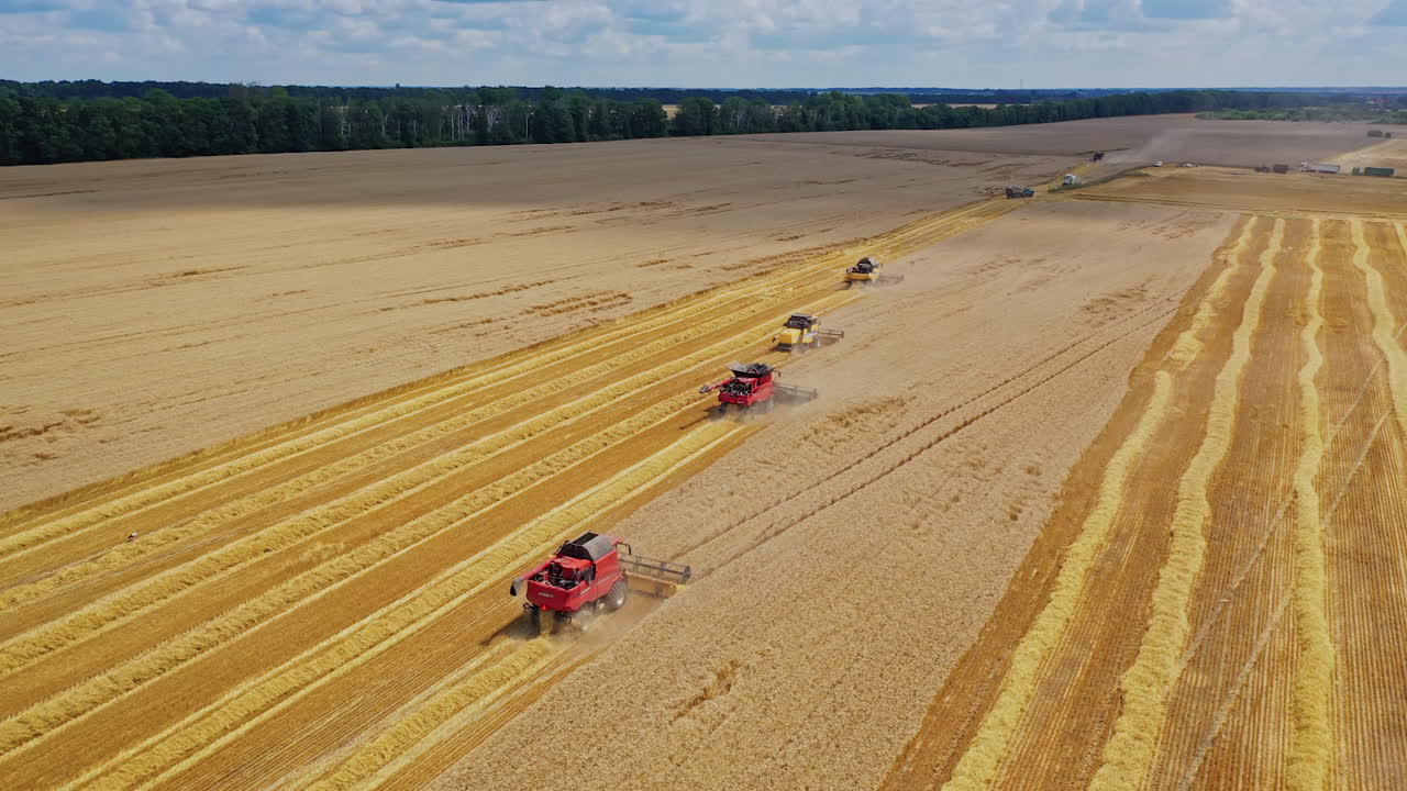 Beautiful view of the yellow field with harvester machinery. Many agricultural combine harvesters gathering crop on the field. Aerial view.