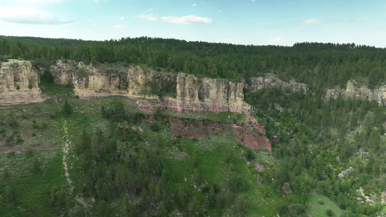 A wide drone shot revealing more cliff edges in the forest