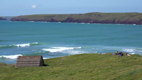 Young-people-lie-out-on-a-cliff-along-a-sunny-coastal-scene-in-Wales