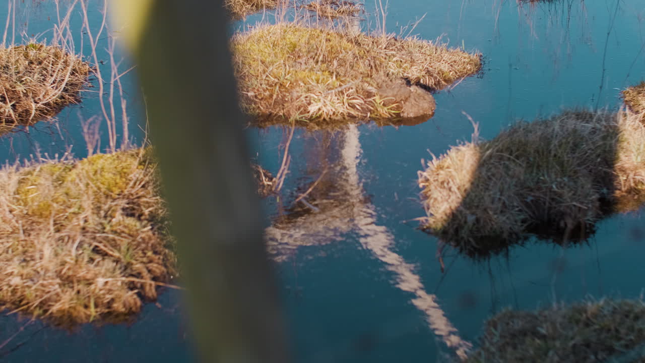 reflejo del molino de viento que sopla en el viento que gira en el espejo de agua que refleja la cultura agroalimentaria ecológica futurista 2021 planta de fuente de energía que produce electricidad para los hogares charcos húmedos