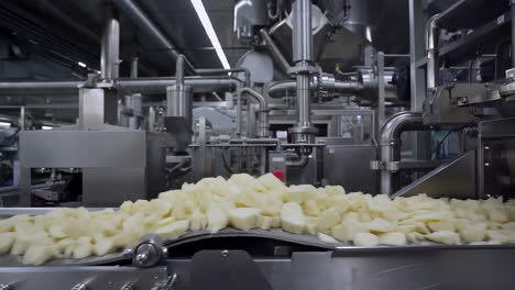 diced potatoes moving along a conveyor belt in a food processing plant