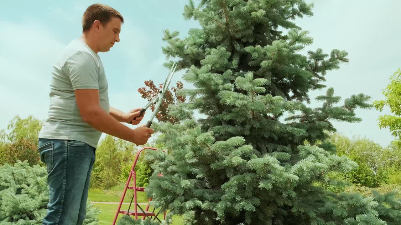 Gardener walking through the garden with equipment  in hands. Concept of rural life, fruit-growing, gardening.
