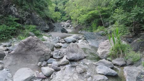 calm relaxing water flows down river in exotic rainforest, aerial dolly forward