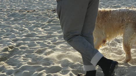 man walking with dog